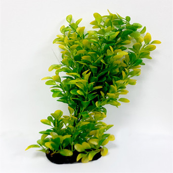 Taiyo Aquarium Plant 307C For Aquarium Decoration