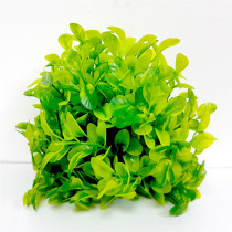 Taiyo Aquarium Plants Ap501 For Aquarium Decoration