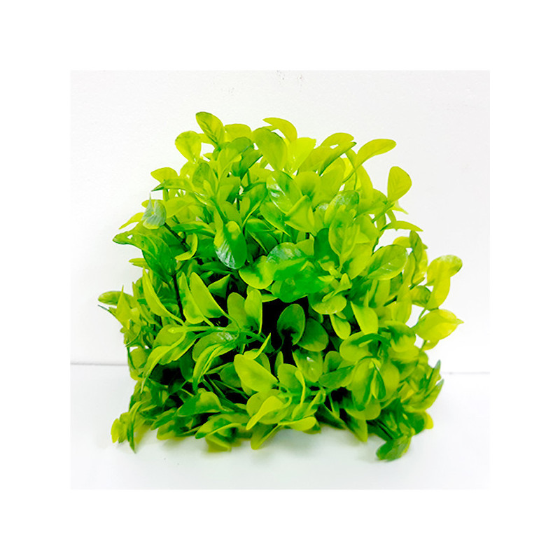 Taiyo Aquarium Plants Ap501 For Aquarium Decoration