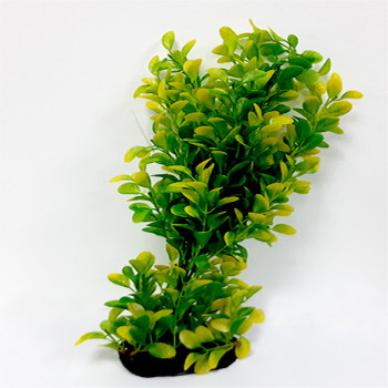 Taiyo Aquarium Plants 701G For Aquarium Decoration