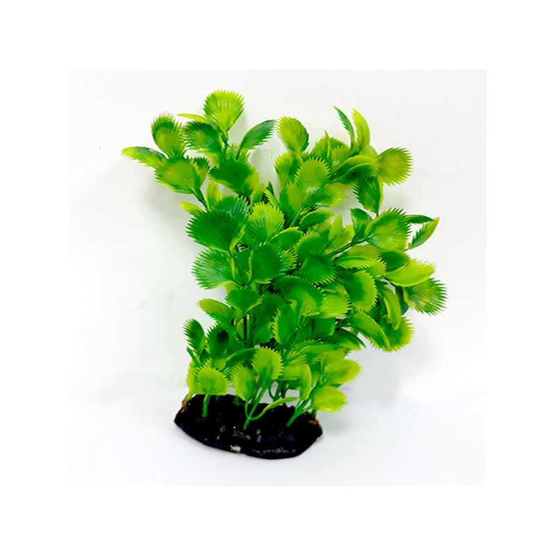 Taiyo Aquarium Plants Ap762G For Aquarium Decoration