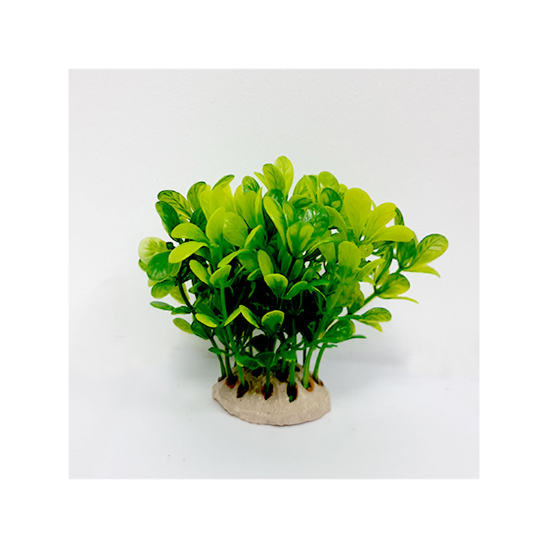Taiyo Aquarium Plants Ap812B For Aquarium Decoration