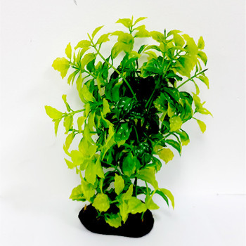 Taiyo Aquarium Plants Ap781G For Aquarium Decoration