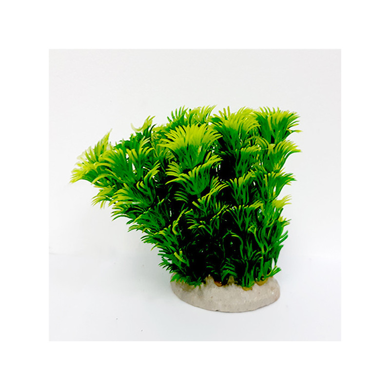 Taiyo Aquarium Plants Ap831B For Aquarium Decoration