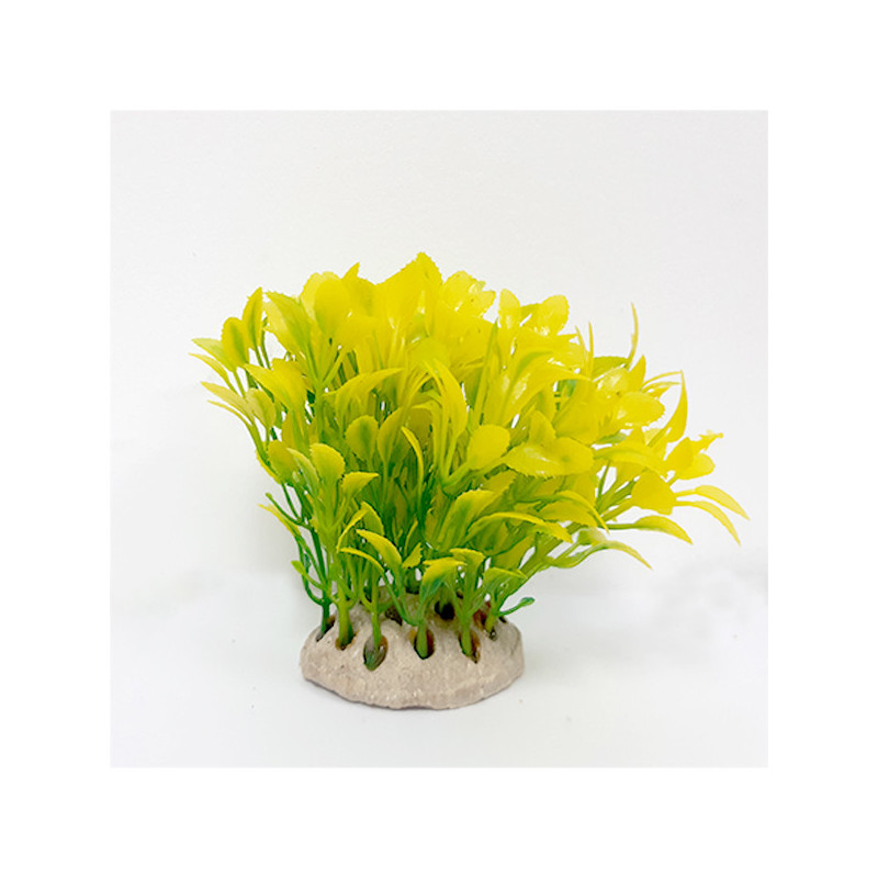 Taiyo Aquarium Plants Ap872B For Aquarium Decoration