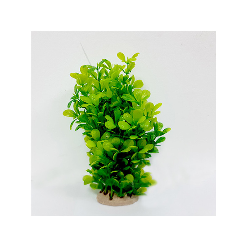 Taiyo Aquarium Plants Ap921E For Aquarium Decoration