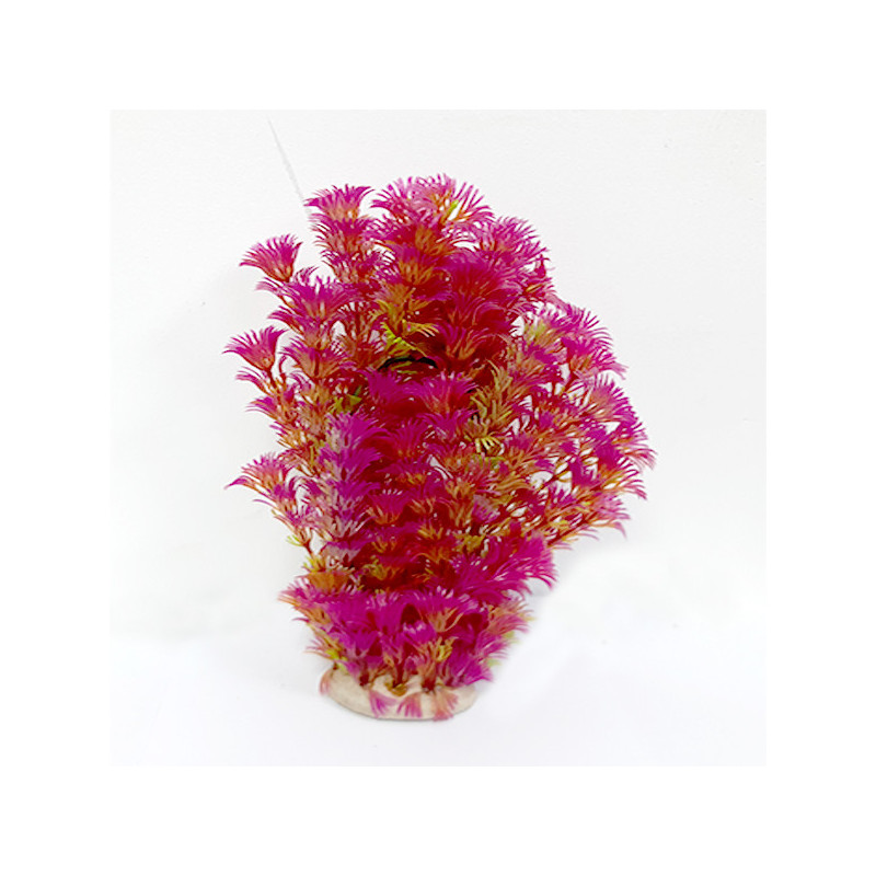 Taiyo Aquarium Plants Ap953E For Aquarium Decoration
