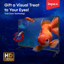 Impex 24 Inch HD Ready Standard LED TV - GLORIA 24