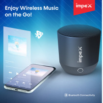 Impex BTS 2013 2.0 Channel Multimedia Speaker System featuring Built-in Microphone 