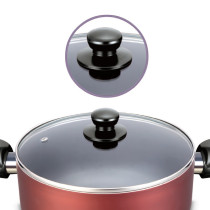 Impex ISP 2810 6 liter Non-Stick Biriyani Pot with Induction Base