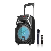 Impex TS 25B 8 Inch 25W Trolley Speaker