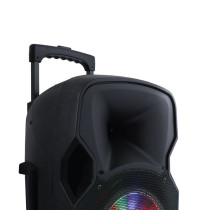 Impex ST 80A 2.0 Multimedia Trolley Speaker System with Wireless Mic