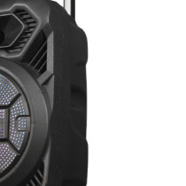 Impex TS 1109 2400 mAh Trolley Speaker with With Wireless MIC