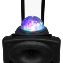 Impex TS 81 50 Watts Multimedia Portable Speaker