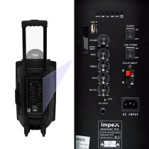 Impex TS 81 50 Watts Multimedia Portable Speaker