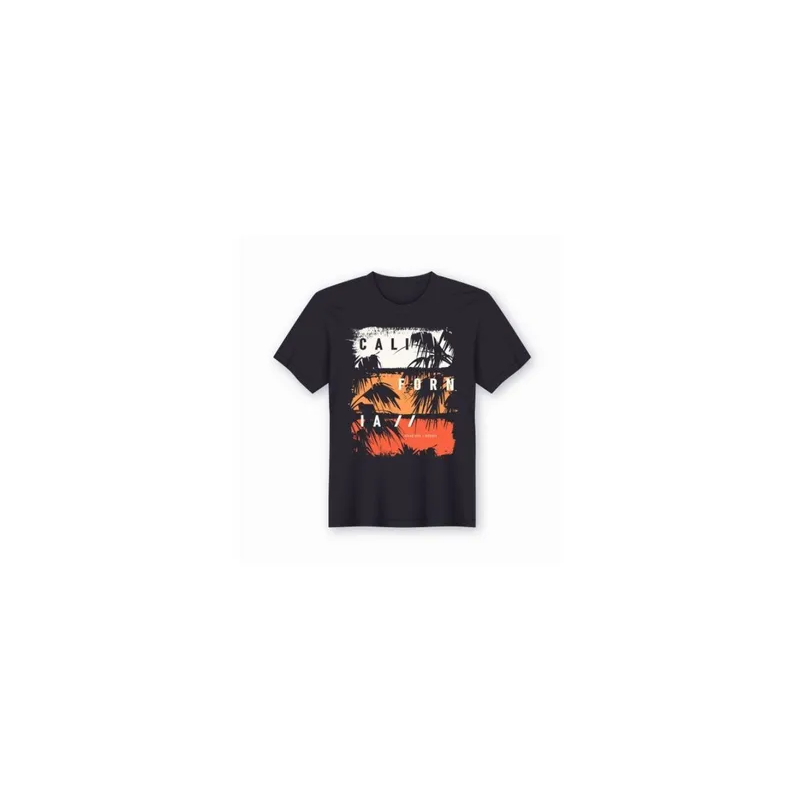 California Printed Round Neck Short Sleeve Tshirt