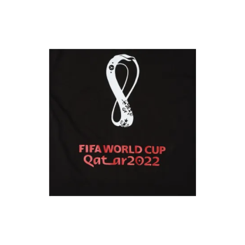 Fifa World Cup Qatar 2022 Printed Round Neck T-Shirt Black