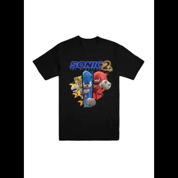 New Printed Sonic 2...