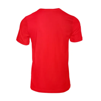 Plain Unisex Round Neck Half Sleeve Red T-shirt