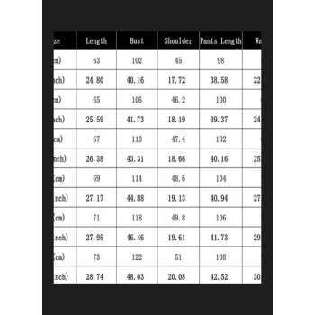 2 Piece Set Printed Hoodie Sweatshirt And Sports Pants Grey/White