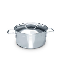 Delici Stainless Steel Exquisite Sauce Pan 20cm, Well Polished Exterior, Non-Stick Interior, Oven Safe, Dishwasher Safe, 304 Grade, Ergonomic Handle, Premium Lid Silver 20cm (DSP 20W)
