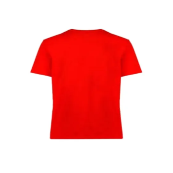 Generic Printed T-Shirts Life Has No Remote Red