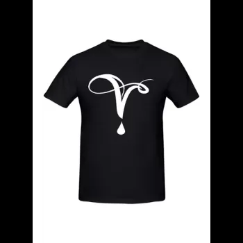 The Vampire Diaries Tv Show...