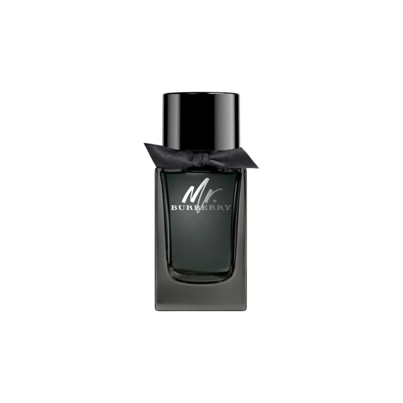 BURBERRY Mr. Burberry EDP 100ml
