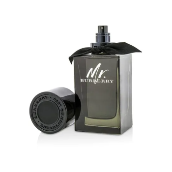 BURBERRY Mr. Burberry EDP 100ml