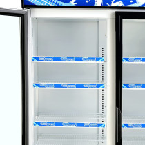 Super General 800 Liter Gross Double-Door Chiller, Upright Beverage-Showcase, Energy-Saving, Low-Noise, White/Black, SGSC-818-IF, 94 X 58.5 X 206 Cm, 1 Year Warranty