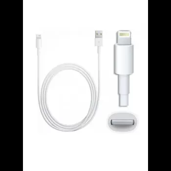 Apple Lightning to USB...