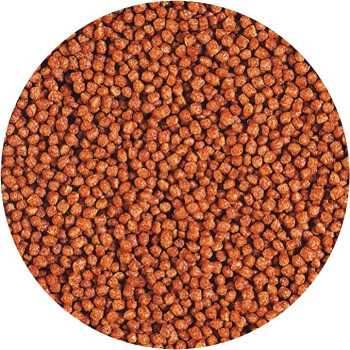 Hikari Betta Bio Gold