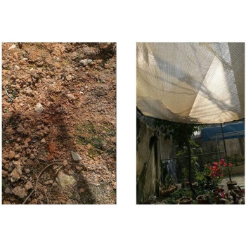 ALGFree-Tarpaulin Shade Sails Shading Net Cloth Awning Cover Sunscreen Anti-Uv Insulate Heat Outdoor Patio Garden Cover Flowers Plants Algfree, Beige