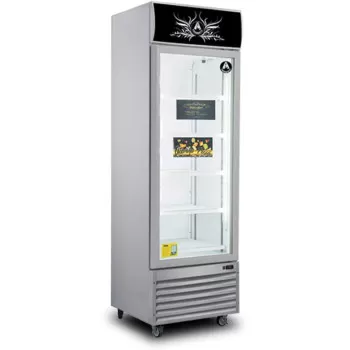 Emelcold Chiller 370 Liters...