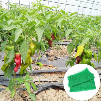 YARNOW Garden Vegetable Plant Mesh Insect Control Net Plant Covers Netting Anti Bird Insect- Proof Greenhouse Plant Netting Cover