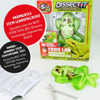 Slimy 38070 Fun Stem Toy For Kids From Age 6 Years Up With 10Pcs Organ Skeleleton Structure, Includes Synthetic Dissection Kit, 1 Frog Refill Kit, 38070