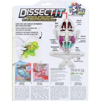 Slimy 38070 Fun Stem Toy For Kids From Age 6 Years Up With 10Pcs Organ Skeleleton Structure, Includes Synthetic Dissection Kit, 1 Frog Refill Kit, 38070