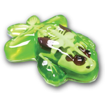 Slimy 38070 Fun Stem Toy For Kids From Age 6 Years Up With 10Pcs Organ Skeleleton Structure, Includes Synthetic Dissection Kit, 1 Frog Refill Kit, 38070