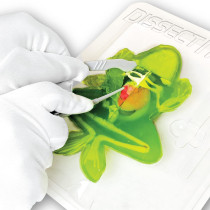 Slimy 38070 Fun Stem Toy For Kids From Age 6 Years Up With 10Pcs Organ Skeleleton Structure, Includes Synthetic Dissection Kit, 1 Frog Refill Kit, 38070