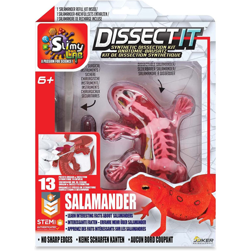 Slimy Experiment Set Salamander Original Slime Set, Slime Laboratory, Award Winning Stem/Mint Educational Toy, With Play Clay And Dicing Tool Toy From 6 Years, 38071