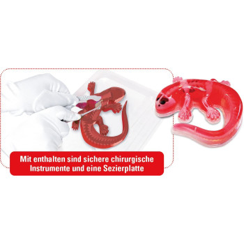 Slimy Experiment Set Salamander Original Slime Set, Slime Laboratory, Award Winning Stem/Mint Educational Toy, With Play Clay And Dicing Tool Toy From 6 Years, 38071