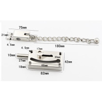 dingchi Slide Bolt Latch Gate Latches Safety Door Lock with Anti-Theft Chain and Spring lock,Heavy Duty Stainless Steel Brushed Nickel Finish