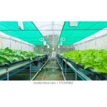 Green Shadenet 3 Meters X 50 Feet Hardwareuae