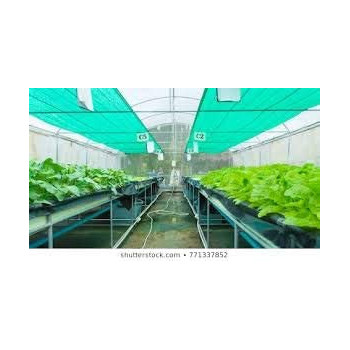 Green Shadenet 4 Meters X 50 Feet Hardwareuae