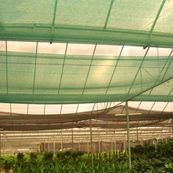 Sun Shade Net Roll,80GSM Green Color Sun Shade Netting for Plants/ Agricultural Sun Shade Net green net (2x50m)