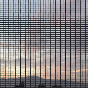 Loboo Idea Window Screen Mesh, Replaceable Fiberglass Curtain Mesh For Fiberglass Doors, Window Screen And Courtyard Wall (100X100Cm (39.37X39.37 Inches),Black)