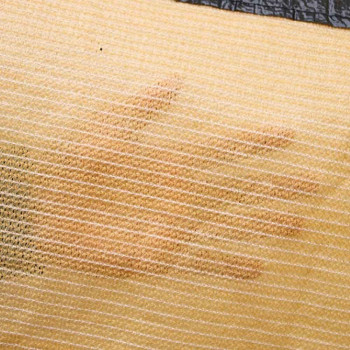 Moonvvin Shading Net 6-Pin Encrypted Edge-Wrapped Balcony Household Heat Insulation Lwlei Sunscreen Multi-Flesh Shade Net