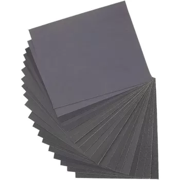 Dainerisy 10Pcs Sanding...