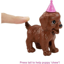 Barbie Doll And Puppy Party Playset With Puppies, Dough And Cake Mold, 3 To 7 Year Olds Gxv75
