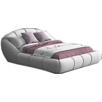 R2R Furniture Millenium Queen Size Standard Bed With Mattress